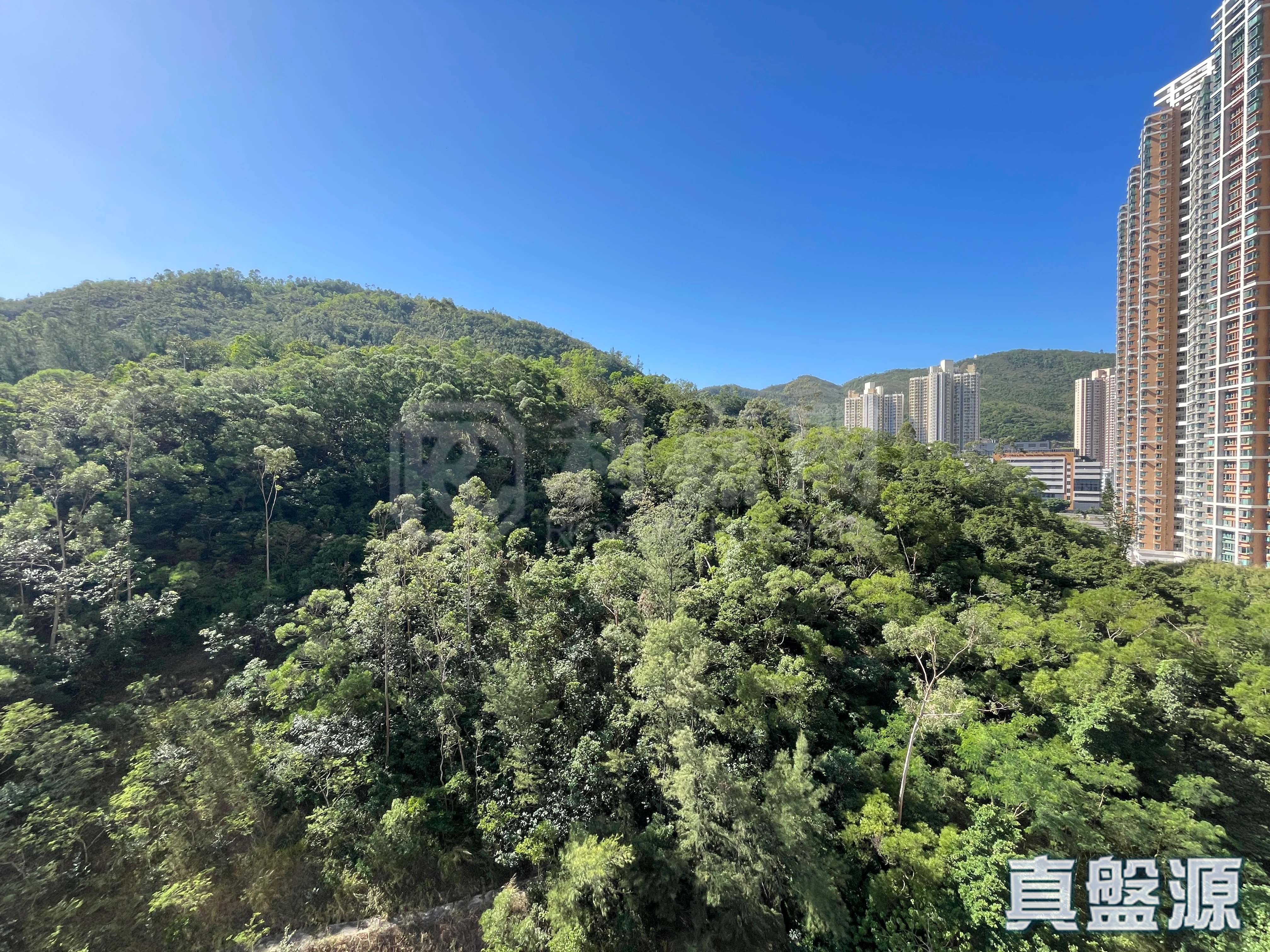 维景湾畔 1期 5座 中层 G室 将军澳