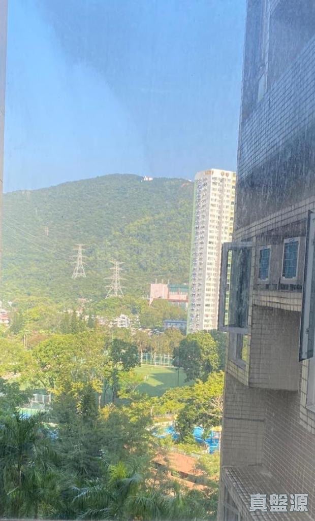 怡心园 5座 低层 F室 将军澳