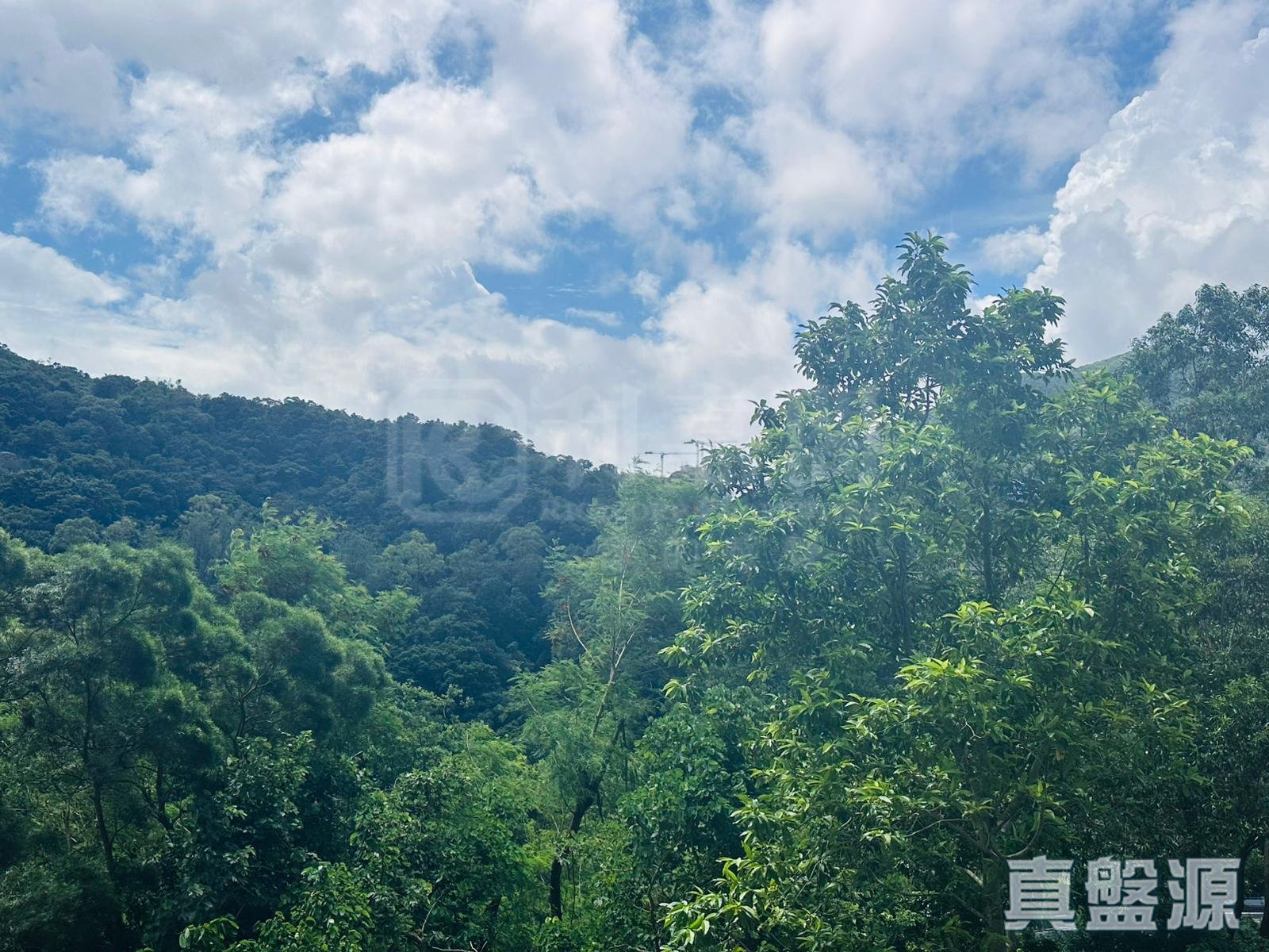 康盛花园 1座 低层 L室 将军澳