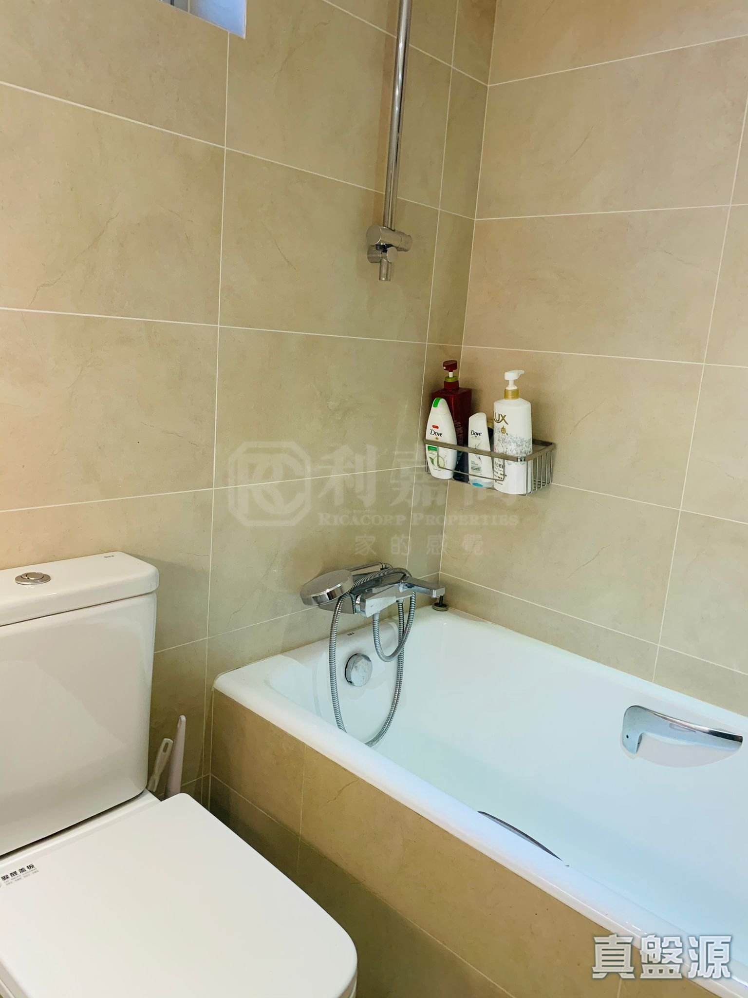 太古城 海天花園 冠天閣 (60座) 低層 F室 康怡/鰂魚涌/太古城