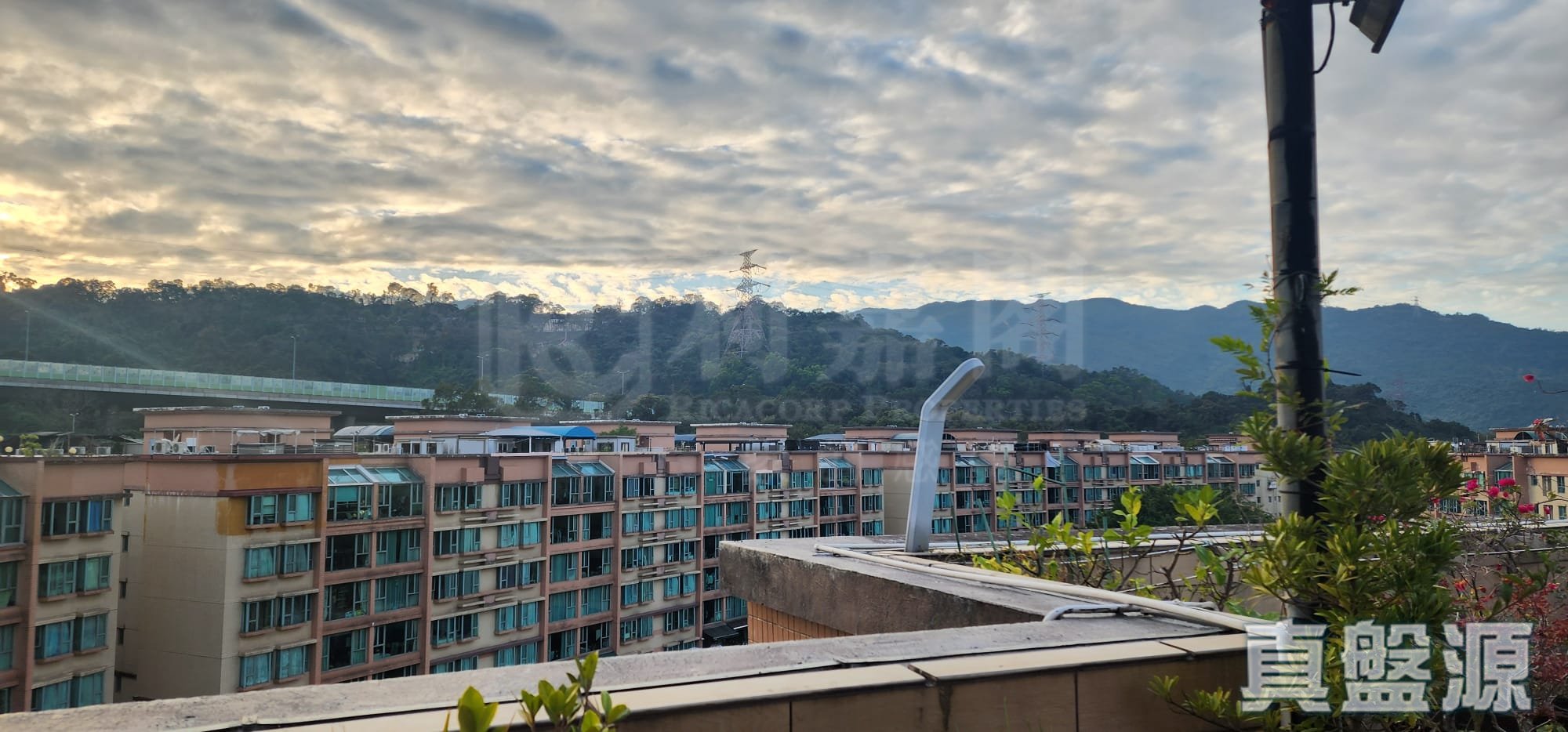 帝欣苑 1期 高層 大埔