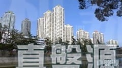 大埔中心 1期 1座