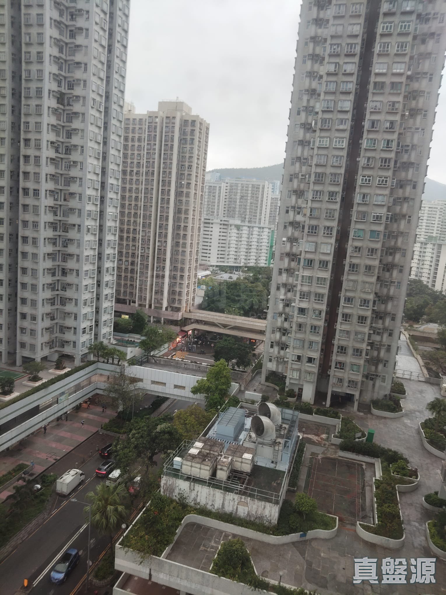 大埔中心 2期 4座 中層 C室 大埔