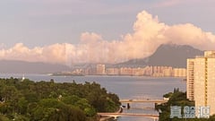 大埔中心 4期 10座 高層 大埔