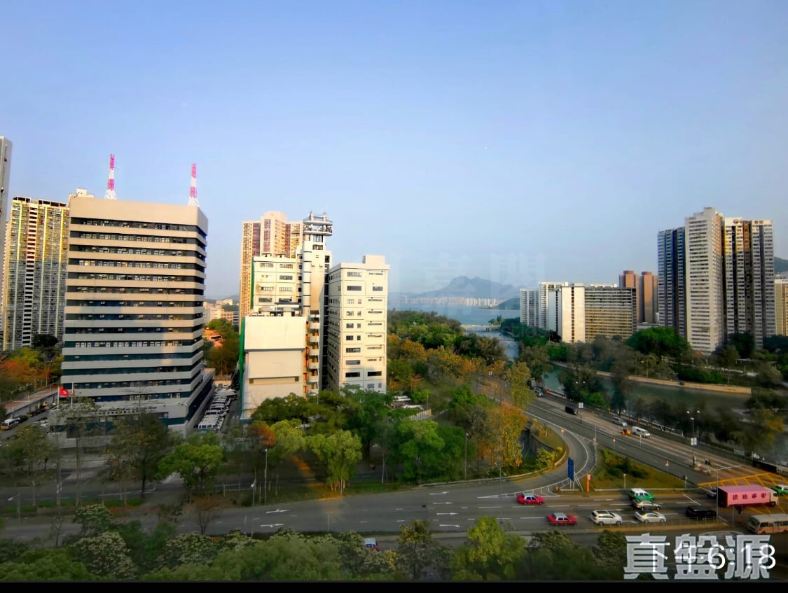 大埔中心 5期 19座 中層 C室 大埔