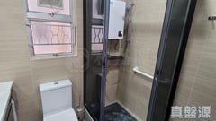 新达广场 3座 低层 B室 大埔