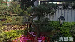 PARC VERSAILLES PHASE 2 - Block 21 Low Floor Zone Tai Po