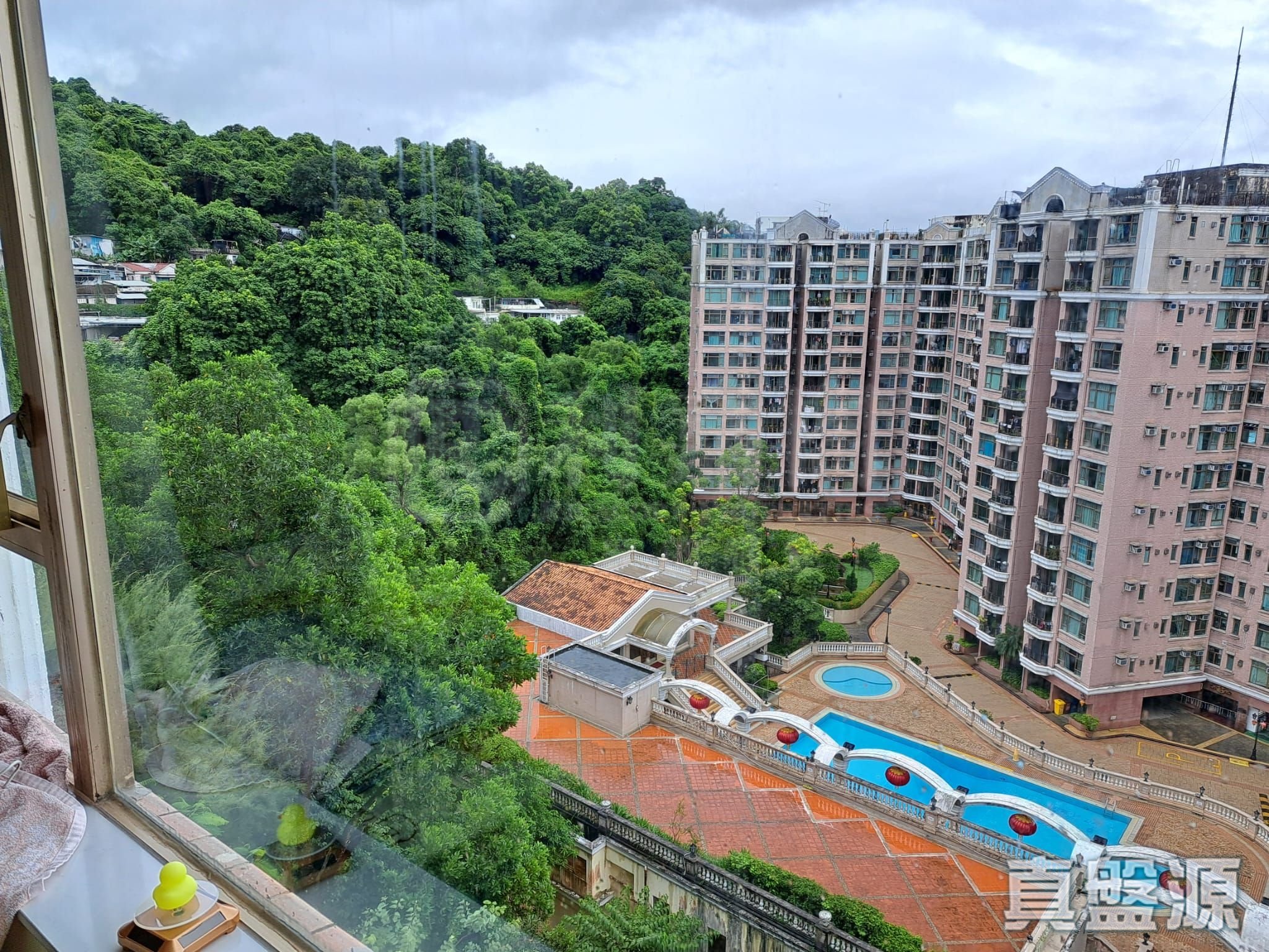 新峰花園 1期 10座 高層 大埔