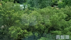 新峰花園 4期 御峰豪園 26座 高層 C室 大埔