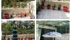 倚龍山莊 12座 大埔