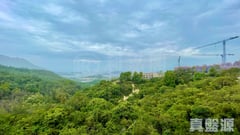 RICHWOOD PARK BLOCK 13 High Floor Zone Tai Po