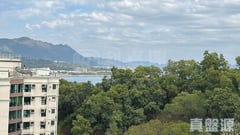 大埔寶馬山 1座 高層 A室 大埔