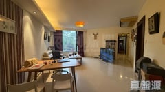 大埔寶馬山 1座 大埔