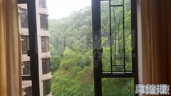 大埔寶馬山 8座 大埔