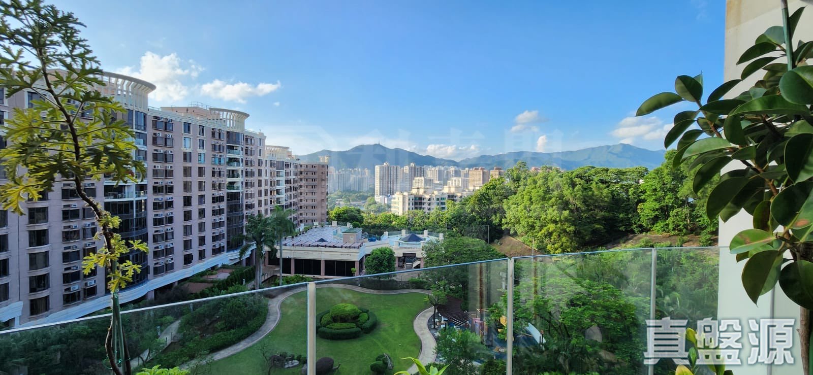 大埔寶馬山 9座 高層 B室 大埔