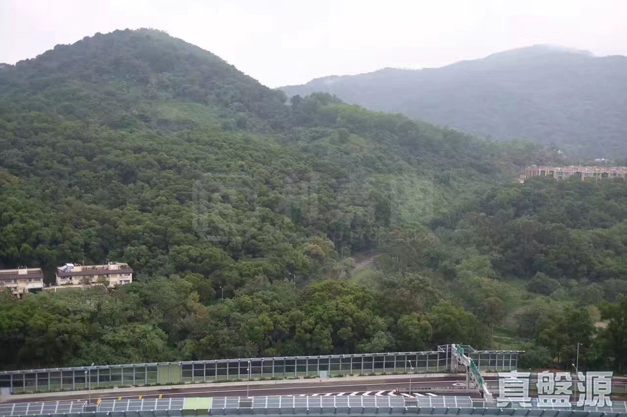 景雅苑 景欣阁 (A座) 极高层 1室 大埔