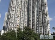 寶雅苑 興和閣 (B座) 低層 13室 大埔