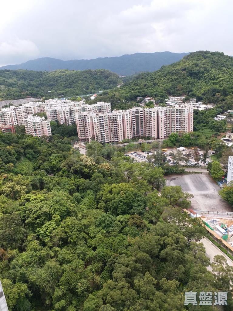 德雅苑 极高层 13室 大埔