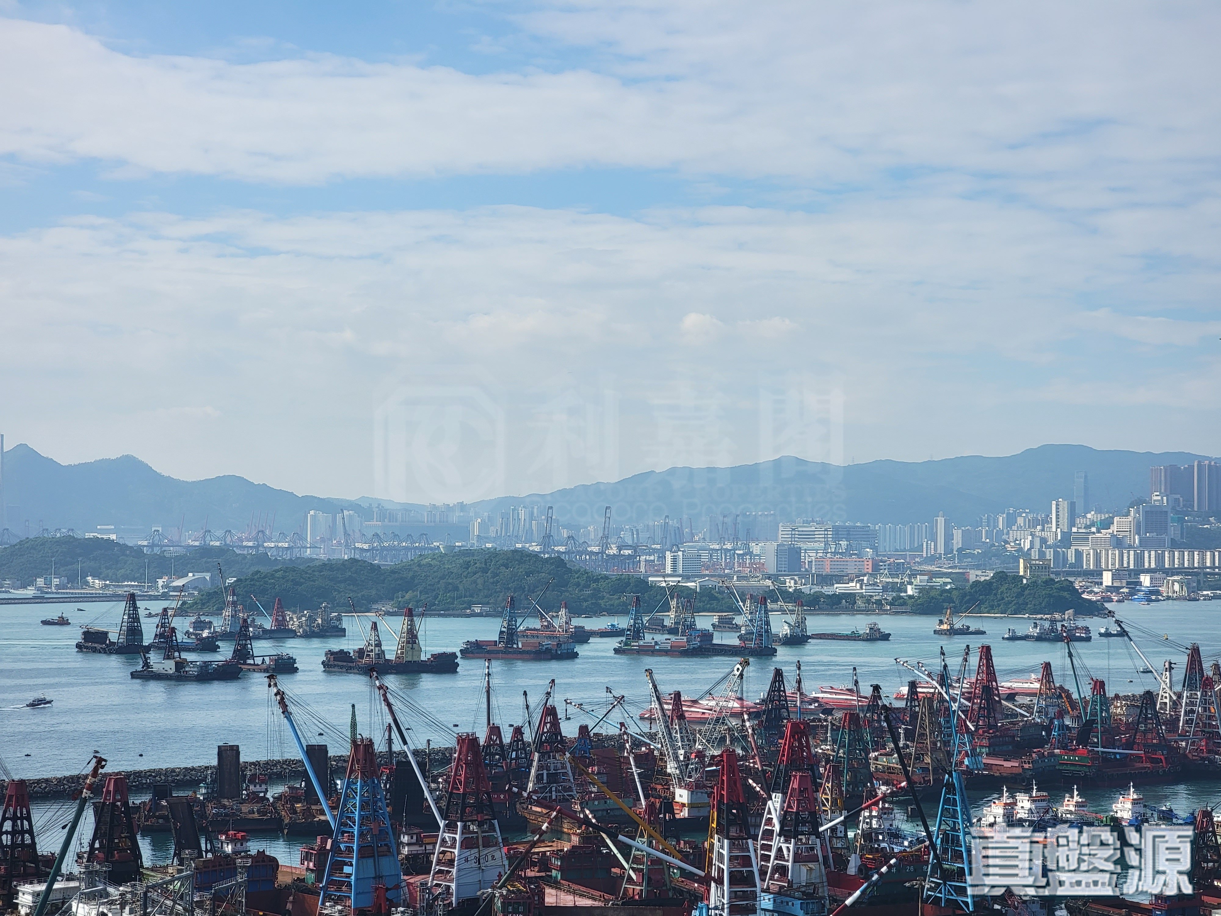 君臨天下 3座 低層 D室 九龍站/尖沙咀/佐敦