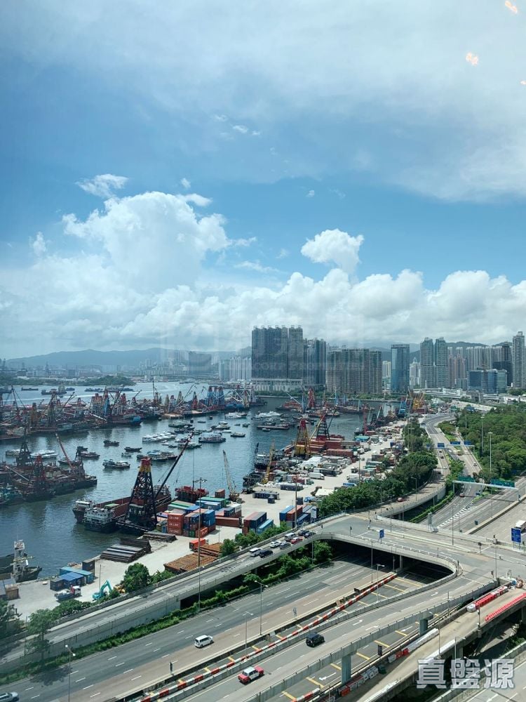 天璽 21座 - 5區 (星鑽) 低層 B室 九龍站/尖沙咀/佐敦