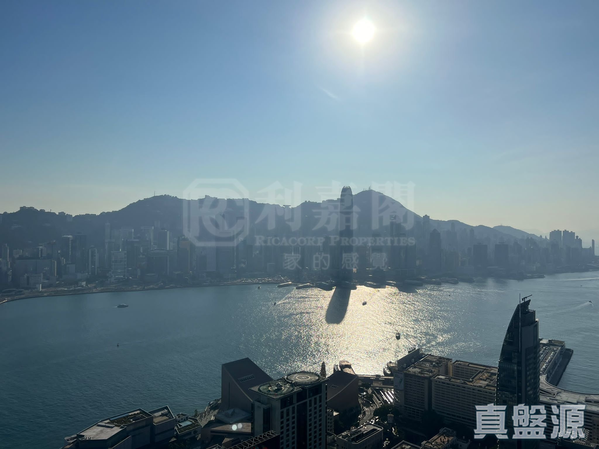 名鑄 極高層 C室 九龍站/尖沙咀/佐敦