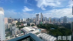 港景峯 3座 中層 B室 九龍站/尖沙咀/佐敦