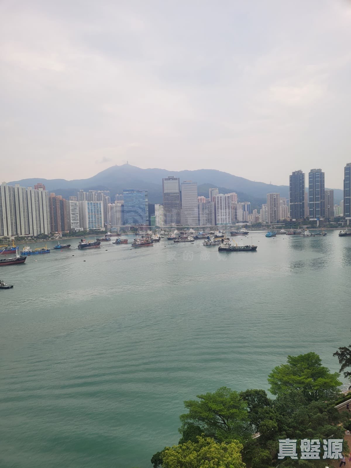 CHING TAI COURT TUNG TAI HOUSE (BLOCK D) High Floor Zone Flat 03 Tsing Yi