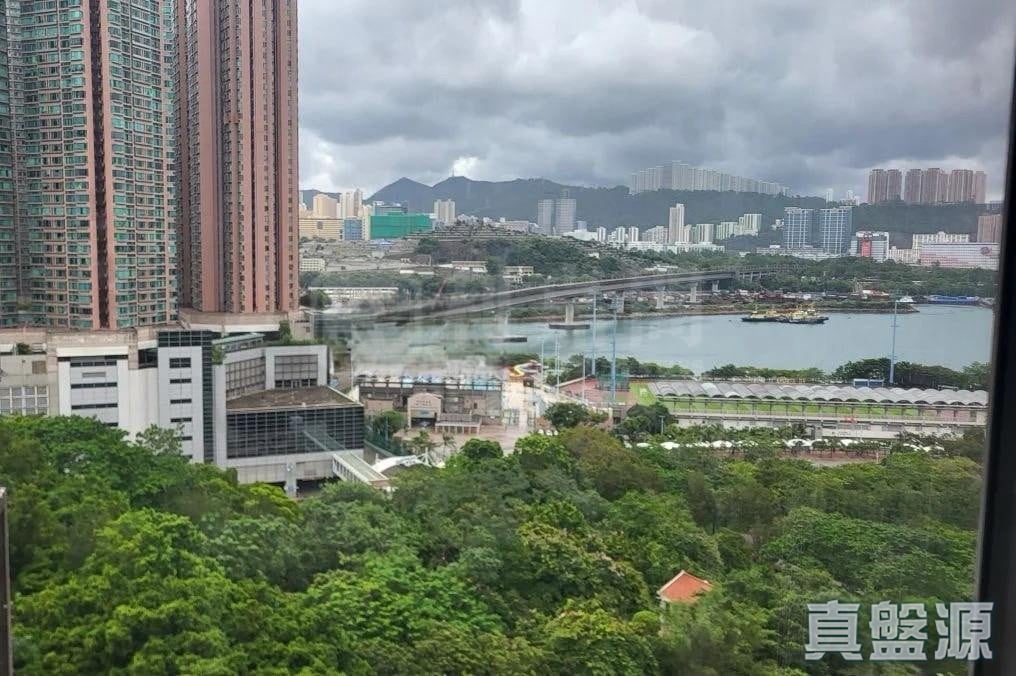 偉景花園 3座 高層 青衣