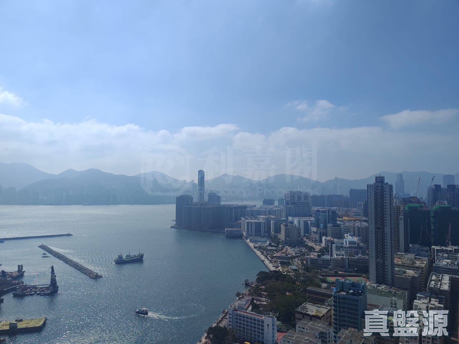 翔龍灣 3座 高層 E室 土瓜灣/九龍城/新啟德/新蒲崗