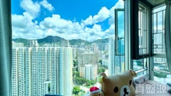 LE BILLIONNAIRE High Floor Zone Flat F Kowloon Bay/Ngau Chi Wan/Diamond Hill/Wong Tai Sin