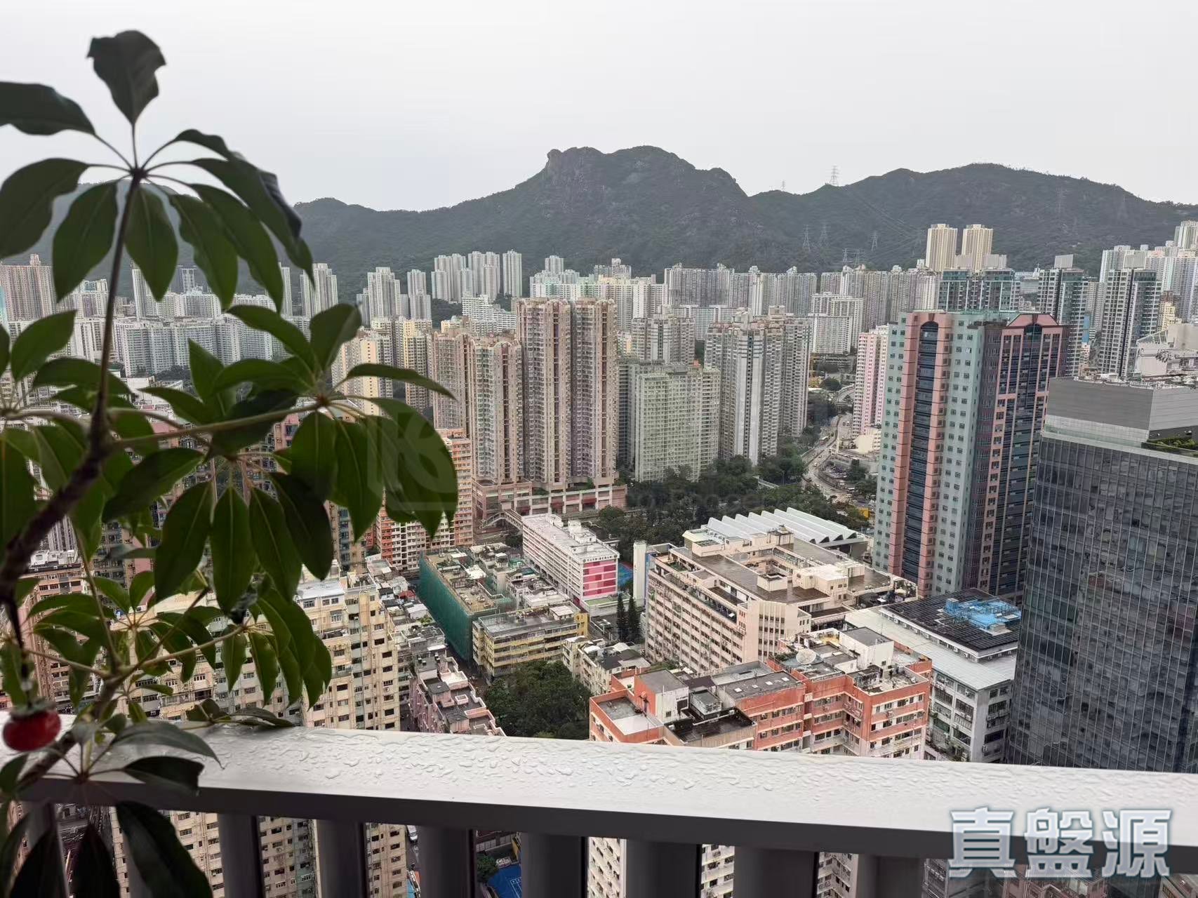 誉．港湾 8座 高层 F室 土瓜湾/九龙城/新启德/新蒲岗