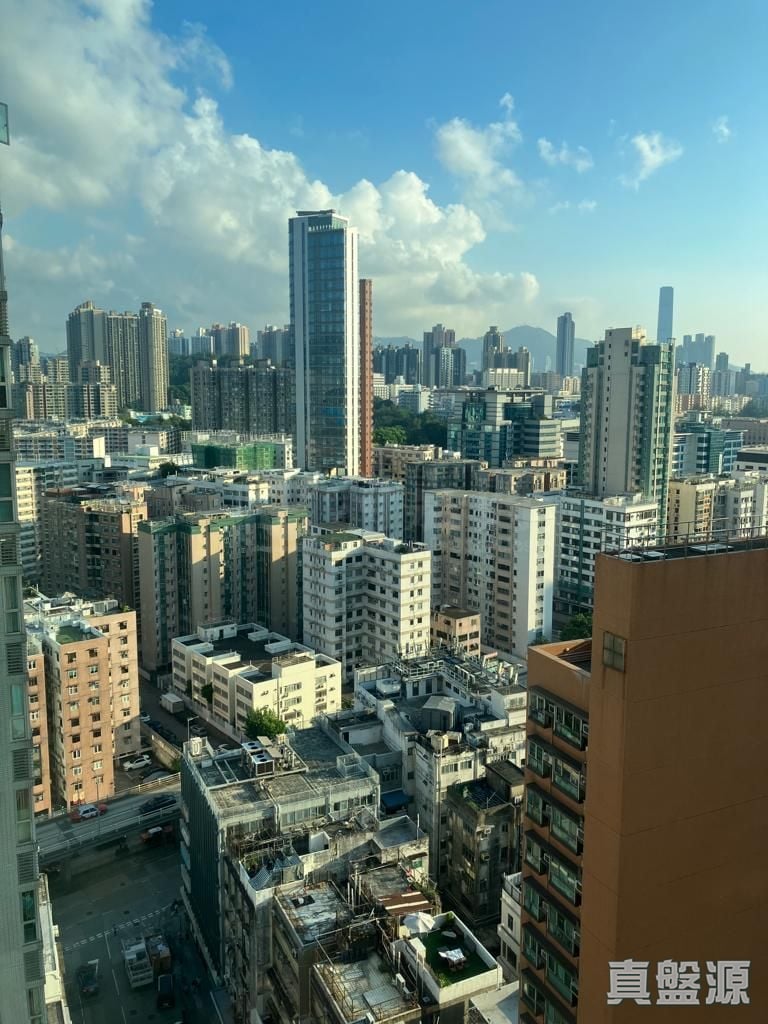 成龍居 高層 C室 土瓜灣/九龍城/新啟德/新蒲崗