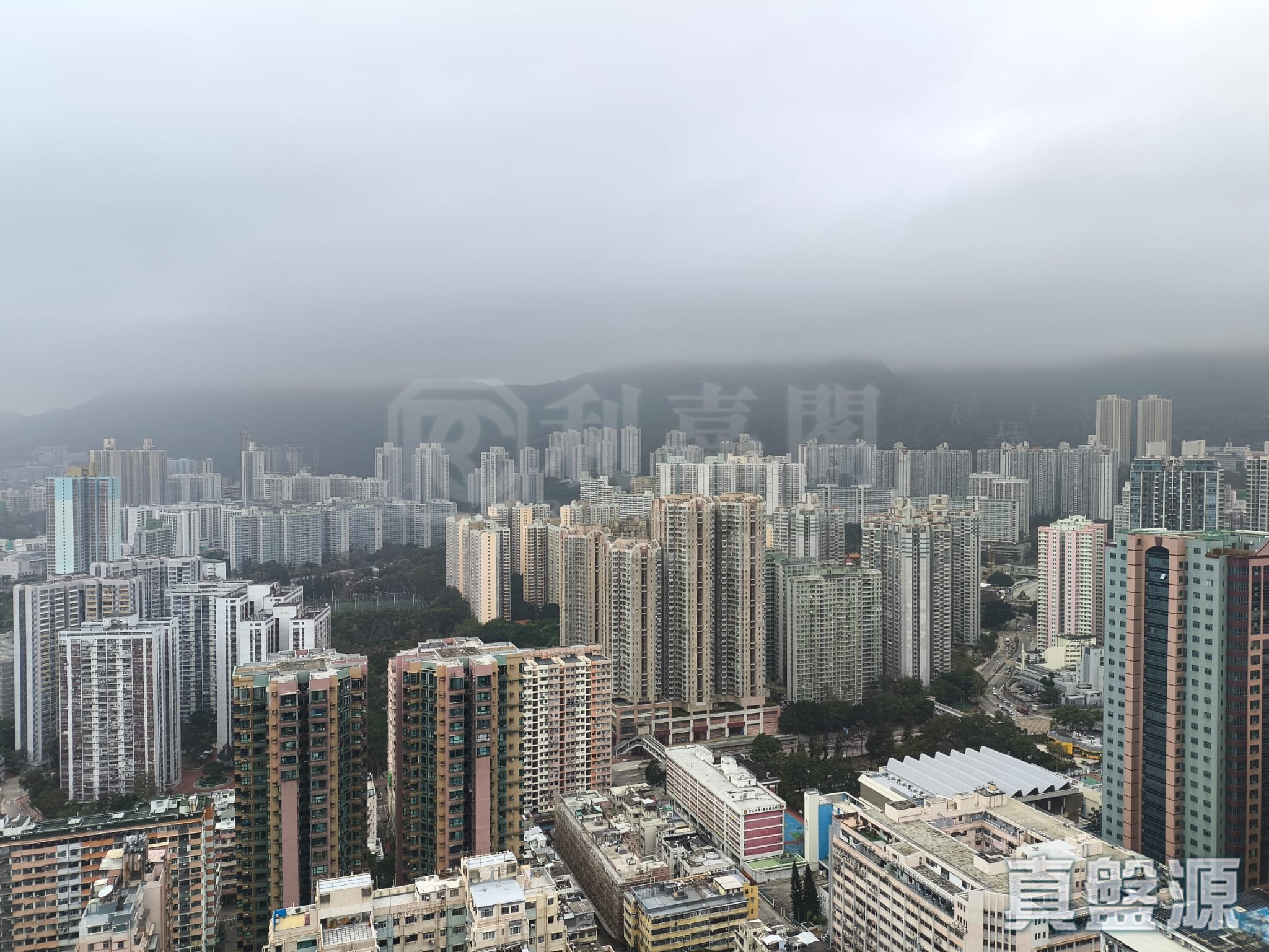 誉．港湾 8座 极高层 E室 土瓜湾/九龙城/新启德/新蒲岗