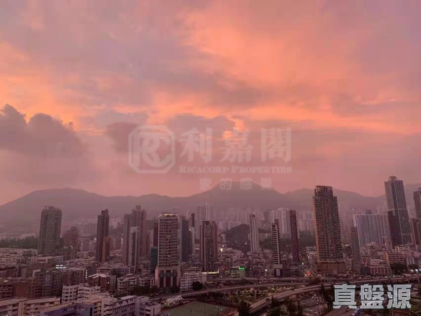 傲雲峰 2座 高層 C室 土瓜灣/九龍城/新啟德/新蒲崗