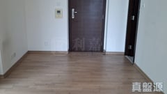 GRAND WATERFRONT TOWER 3 Very High Floor Zone Flat A To Kwa Wan/Kowloon City/Kai Tak/San Po Kong