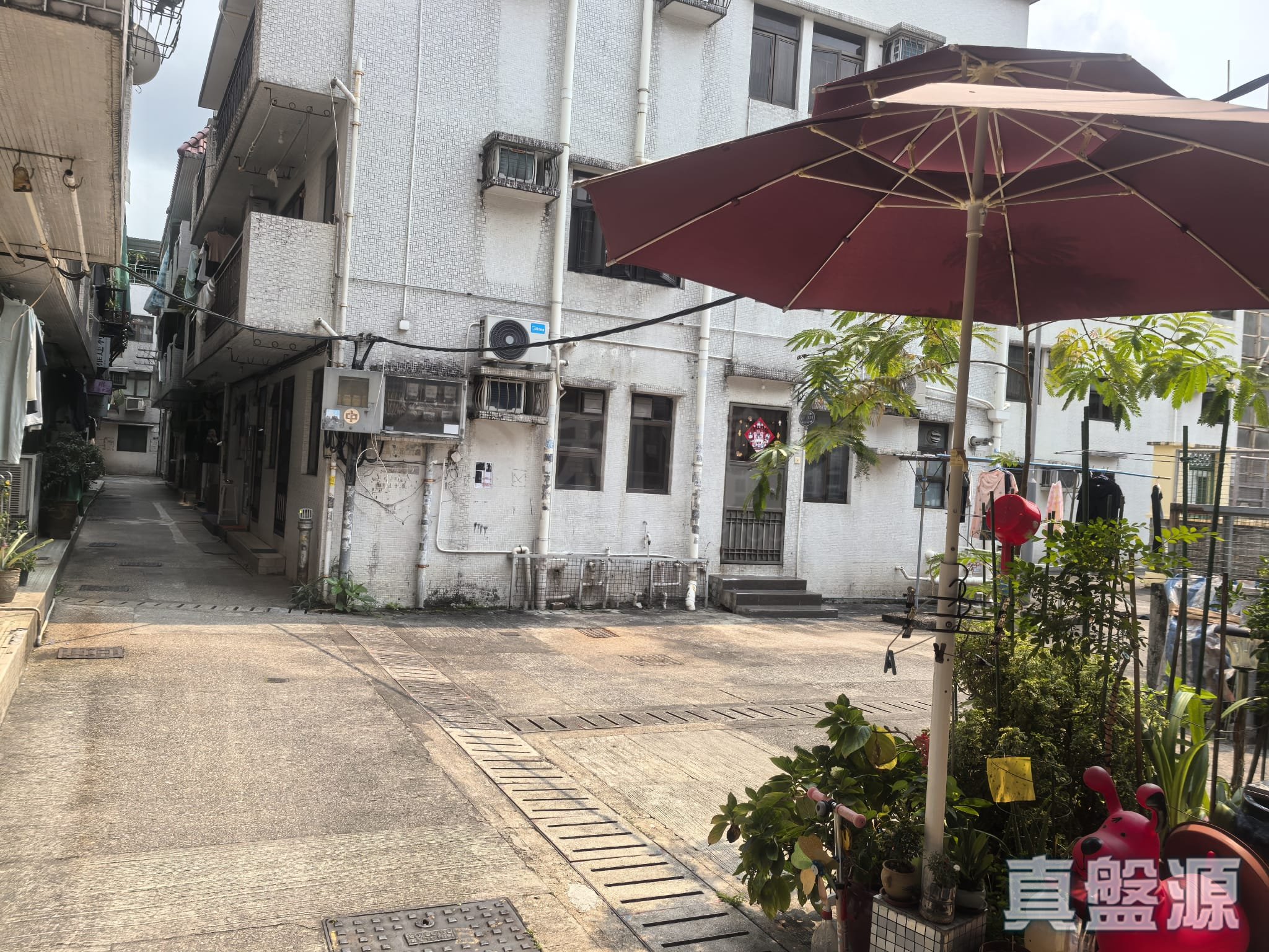 大圍村 第三街 低層 大圍