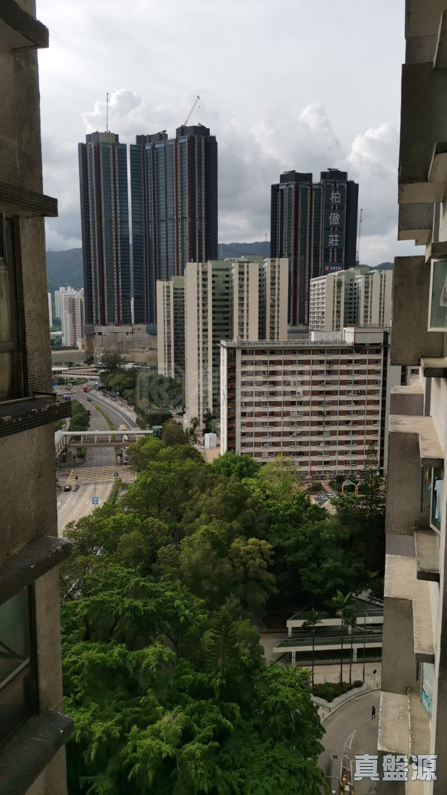 金狮花园 2期 金福阁 (E座) 高层 1室 大围