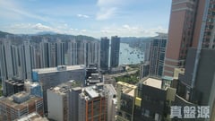 乐悠居 极高层 23室 荃湾