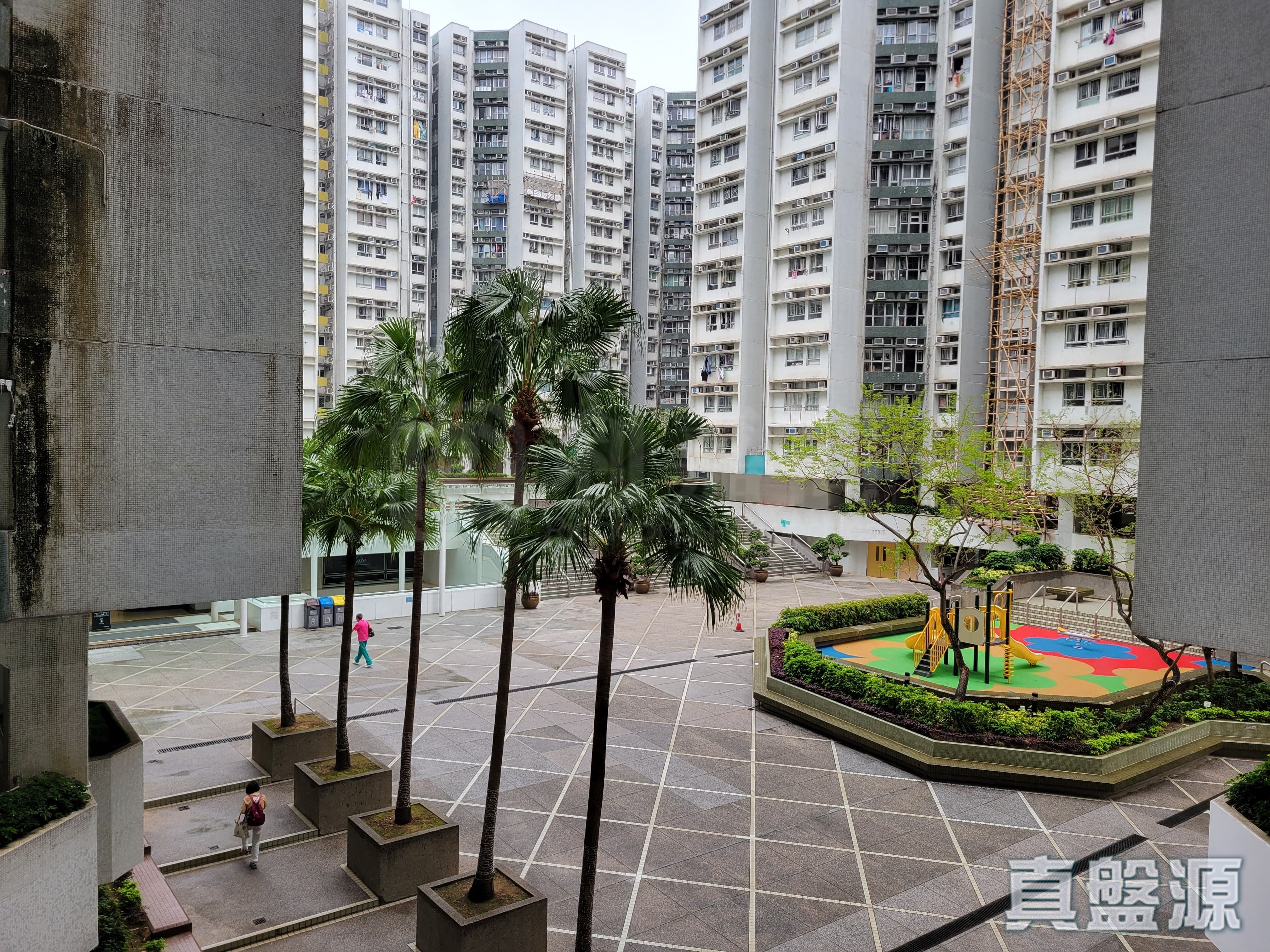 黃埔花園 2期 錦桃苑 15座 低層 D室 紅磡/黃埔/海逸