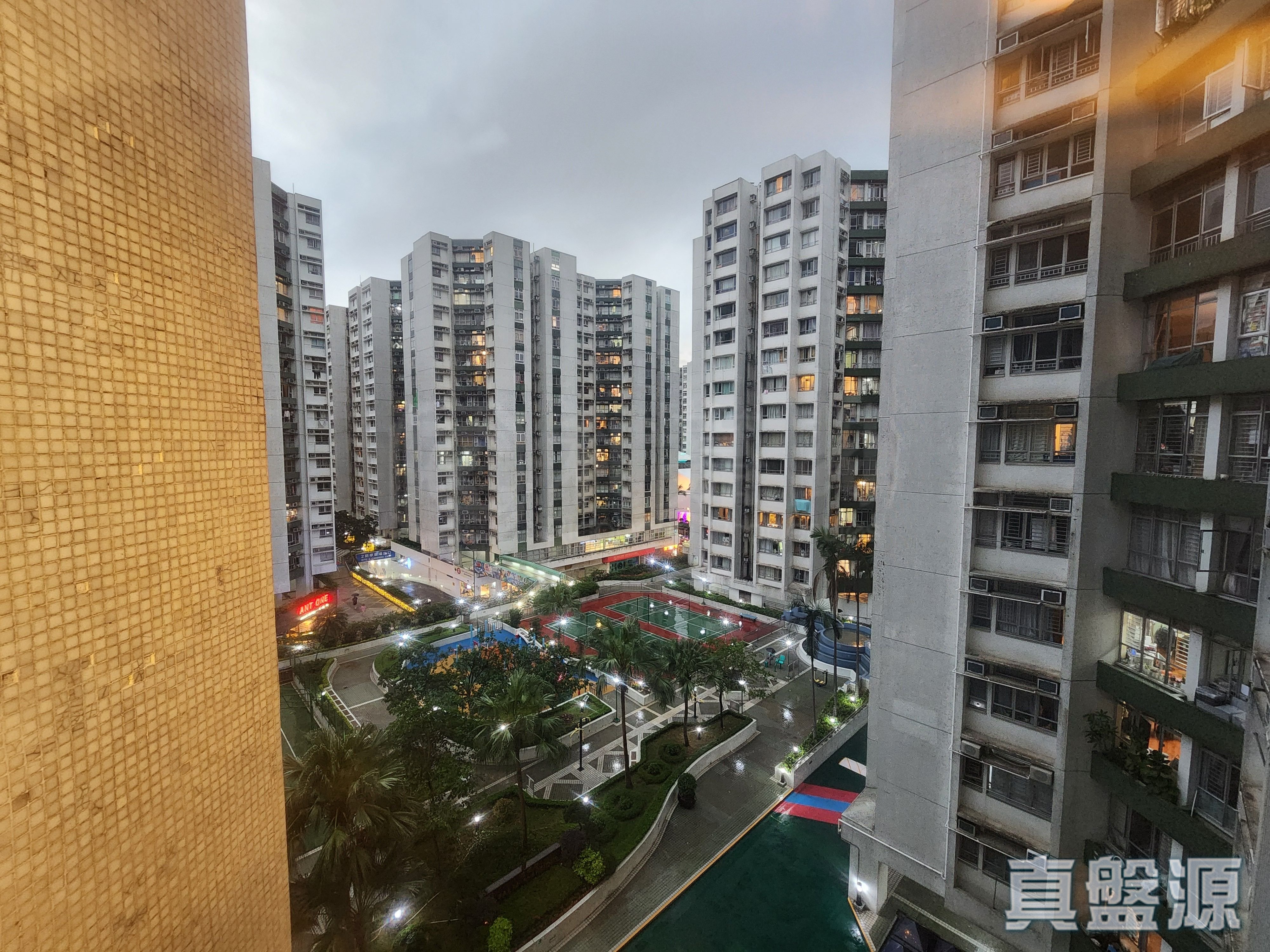 黃埔花園 4期 棕櫚苑 4座 中層 C室 紅磡/黃埔/海逸