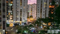 黃埔花園 5期 青樺苑 5座 低層 H室 紅磡/黃埔/海逸