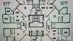 黃埔花園 5期 青樺苑 9座