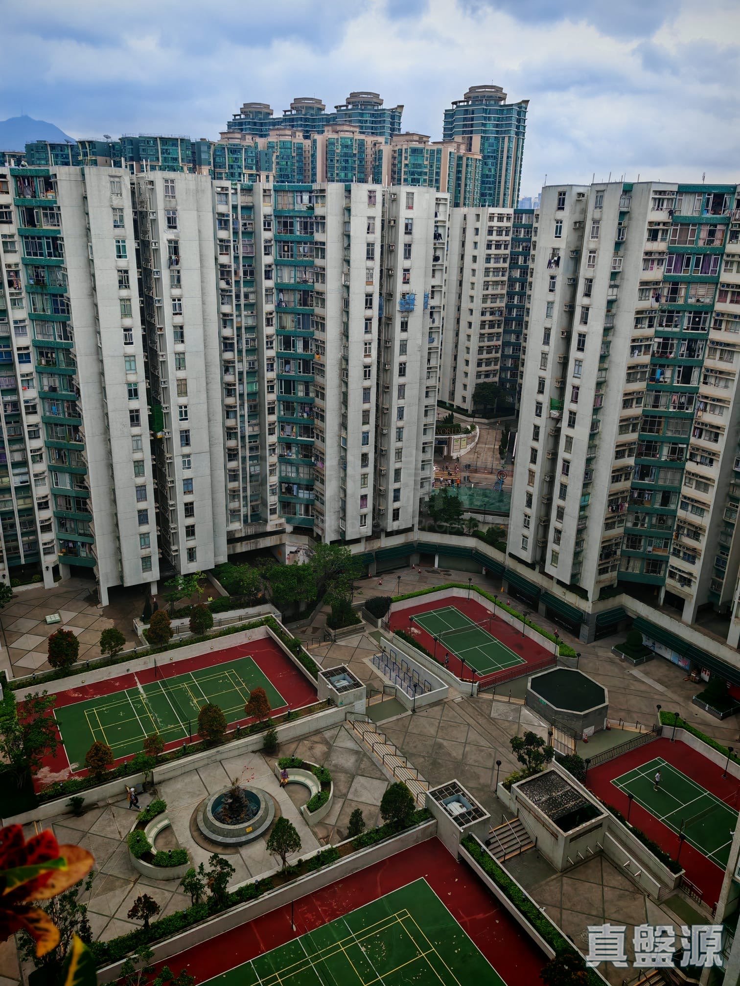 黃埔花園 11期 紫荊苑 10座 C室 紅磡/黃埔/海逸