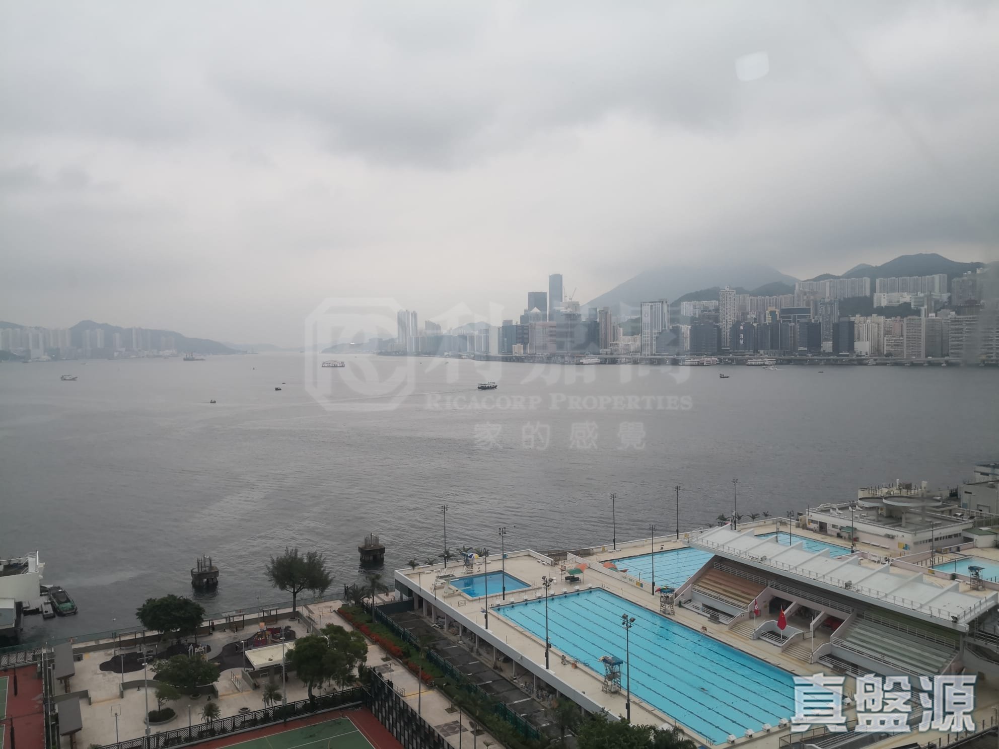 黃埔花園 10期 綠榕苑 1座 極高層 F室 紅磡/黃埔/海逸