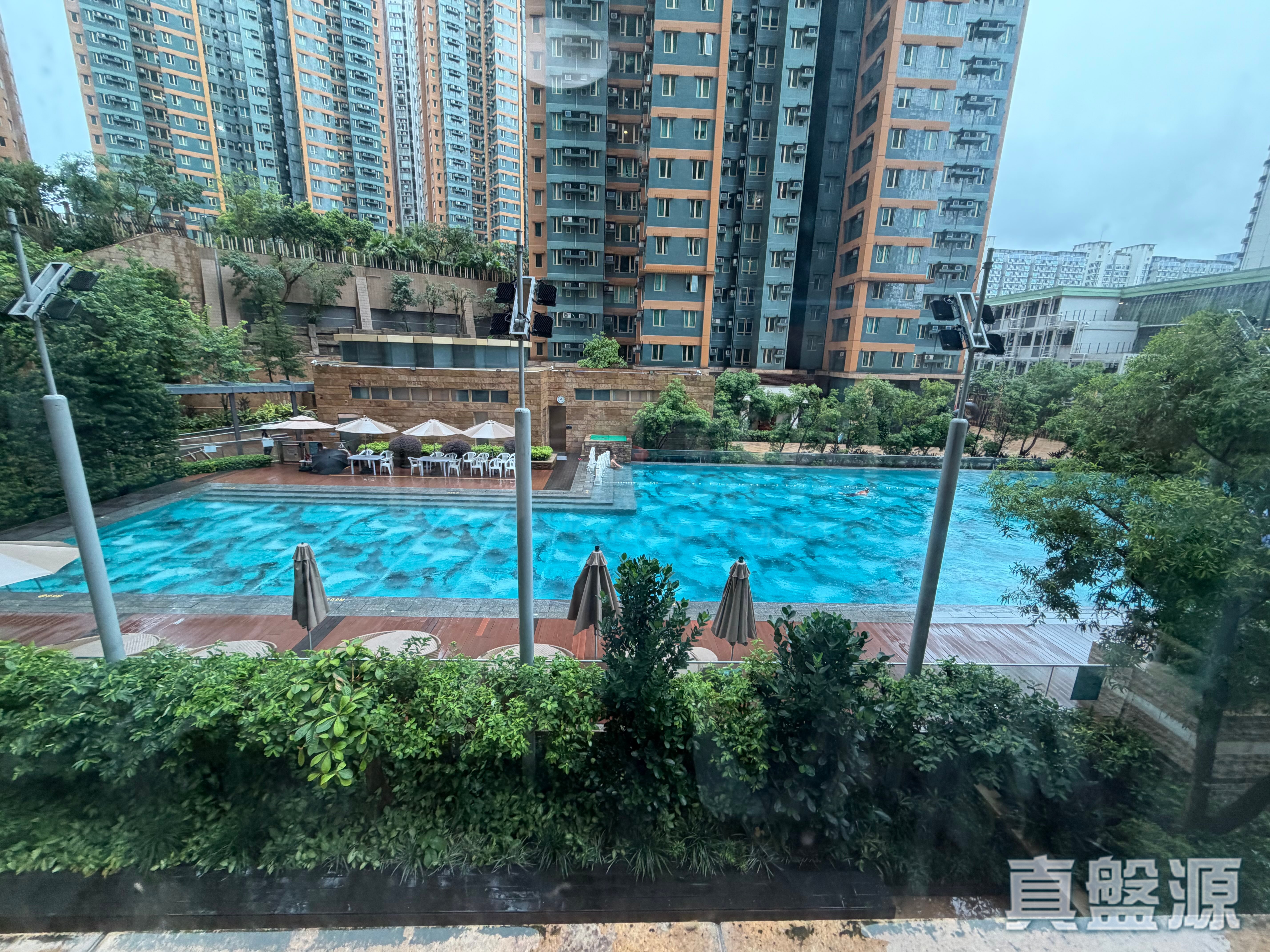 海滨南岸 5座 低层 G室 红磡/黄埔/海逸