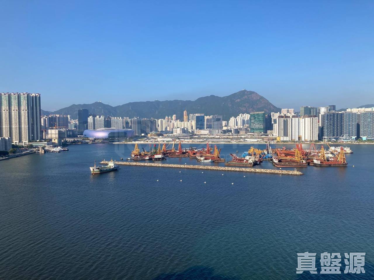 海逸豪園 3期 悅濤灣 15A座 極高層 C室 紅磡/黃埔/海逸