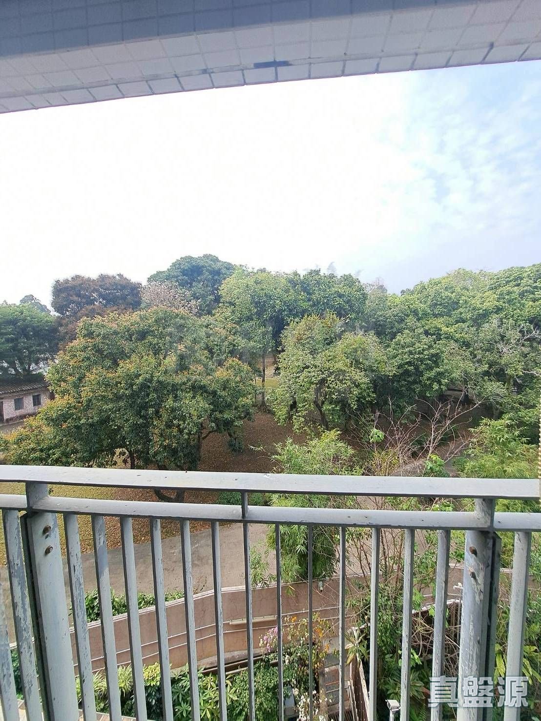 GREEN ORCHID TOWER 1 Medium Floor Zone Yuen Long