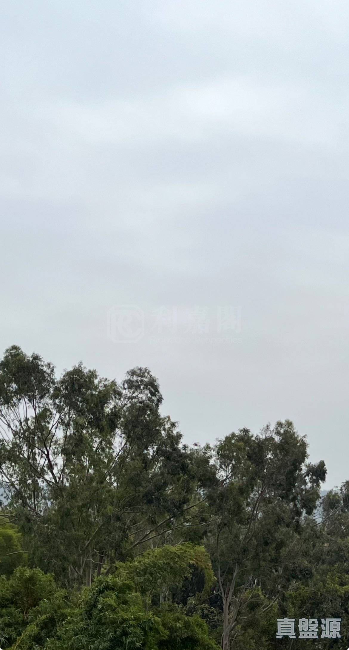 CORAL GARDEN BLOCK 1 Medium Floor Zone Yuen Long