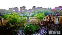 御景園 1座 中層 D室 元朗