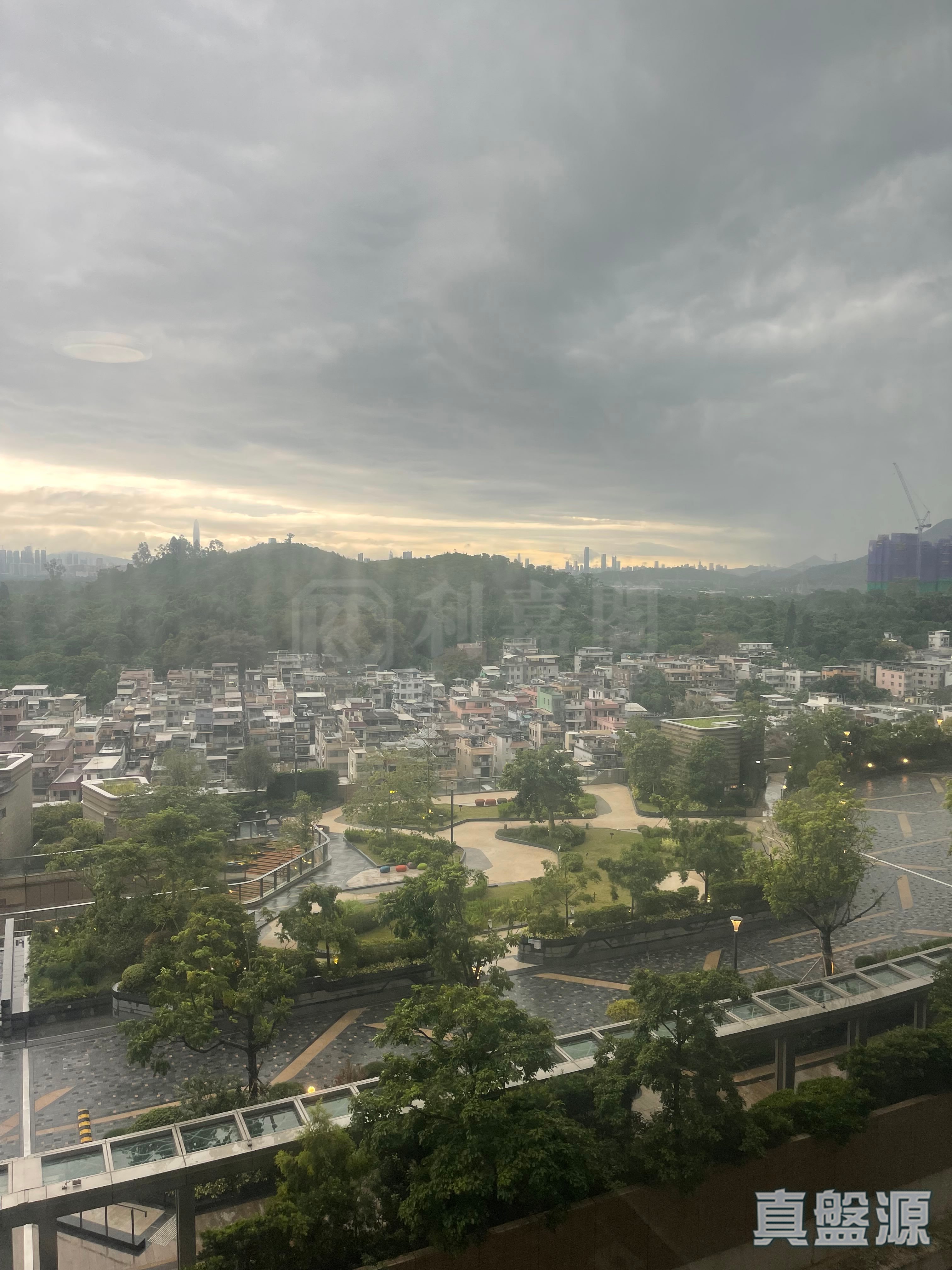 新元朗中心 3座 中层 D室 元朗